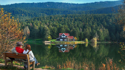 BOLU Chiller Soğutma Sistemleri